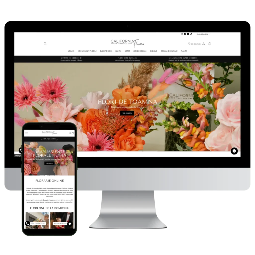 Servicii Creare Magazin Online, magazine online, e-commerce, pret creare magazin online, agentie web design